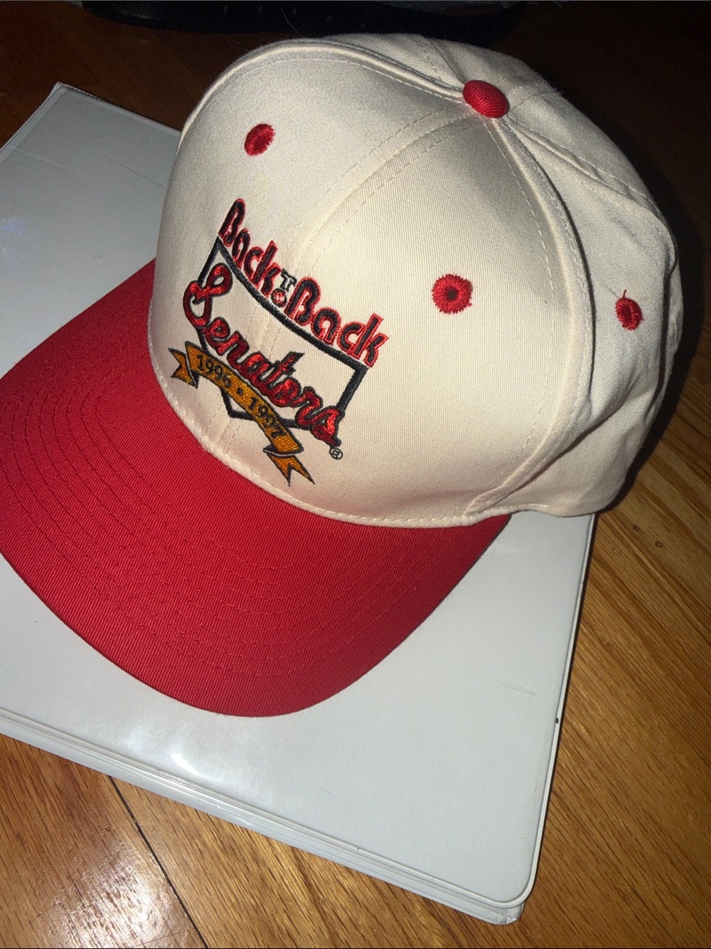 Vintage • 1996 Back to Back Legends Embroidered Baseball Cap